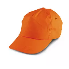 Шапка с козирка