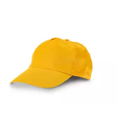 Шапка с козирка