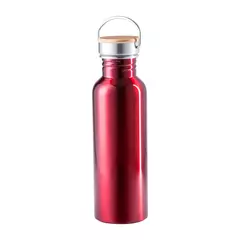 Metal bottle Tulman