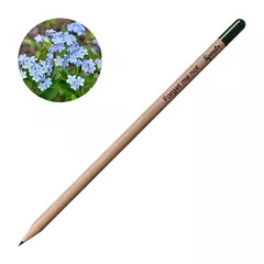 Pencil with seeds - Forget me not