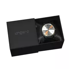 Watch Alceo Silver