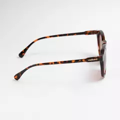 Sunglasses Alesia Brown