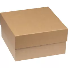 Подаръчна картонена кутия
