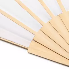 Promotional fan