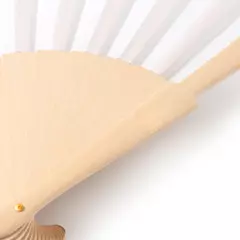 Promotional fan