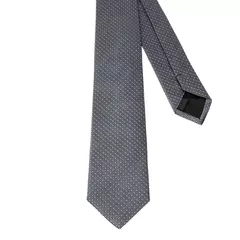 Silk Tie Caprio Grey