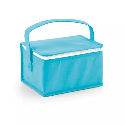 Cooler bag
