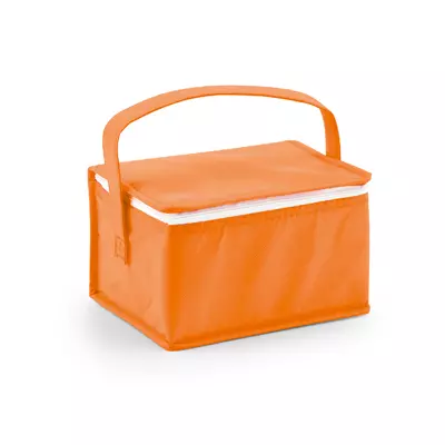 Cooler bag