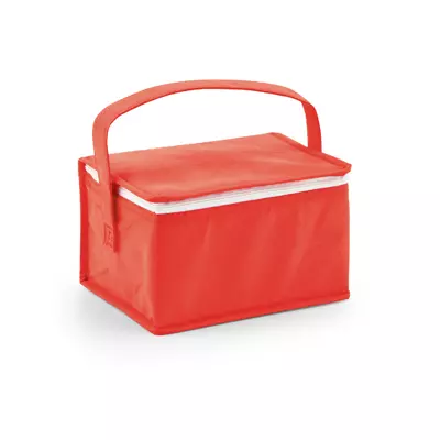 Cooler bag