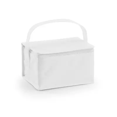 Cooler bag