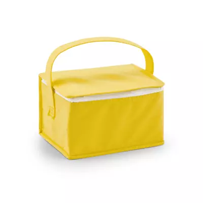 Cooler bag