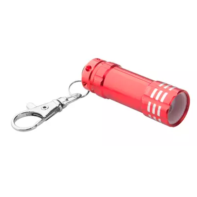 Flashlight PICO