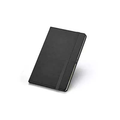Notepad with ball pen