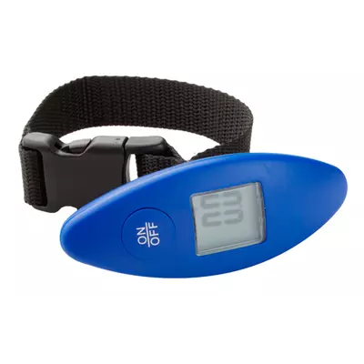 Luggage scale