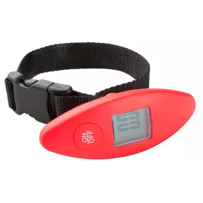 Luggage scale