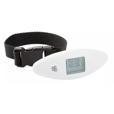 Luggage scale