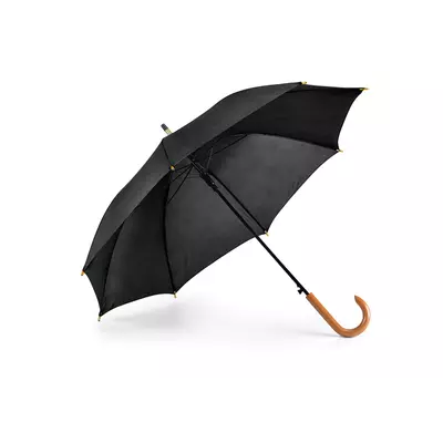 Automatic umbrella
