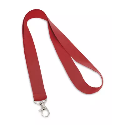 Lanyard