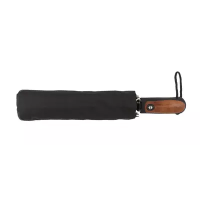Foldable umbrella with automatic mechanism Thompson