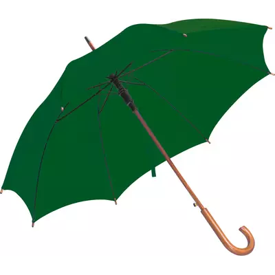 Automatic umbrella