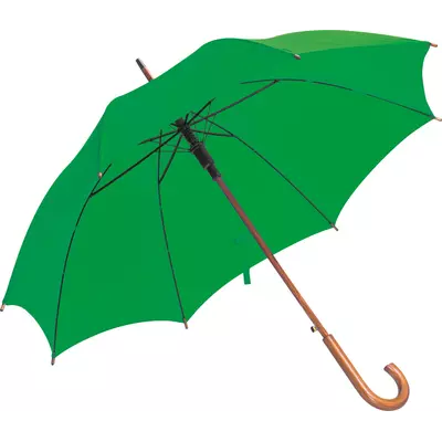 Automatic umbrella
