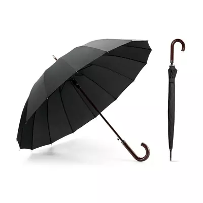 Automatic umbrella