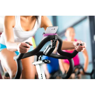 Mobile holder - Perch