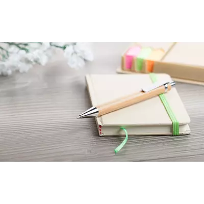 Химикалка от бамбук - Bashania