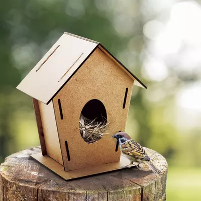 Bird house Tomtit