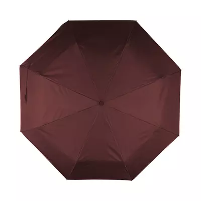 Foldable umbrella with automatic mechanism