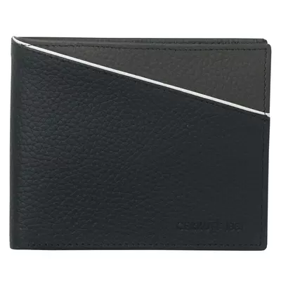 ПОРТФЕЙЛ Spring Blue