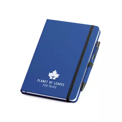 Ball pen and notepad set