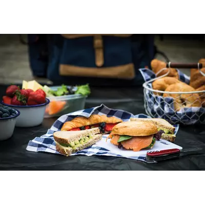 Раница за пикник