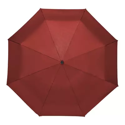 Automatic umbrella with wooden handle