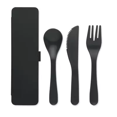 Plastic cutlery set in a case