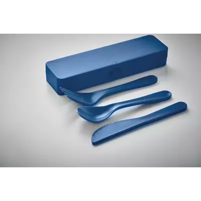 Plastic cutlery set in a case