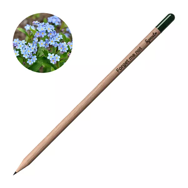 Pencil with seeds - Forget me not