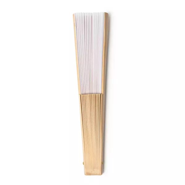 Promotional fan