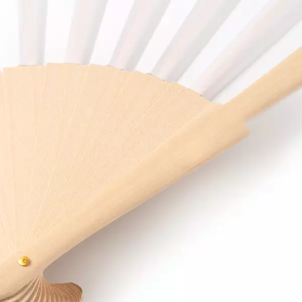 Promotional fan