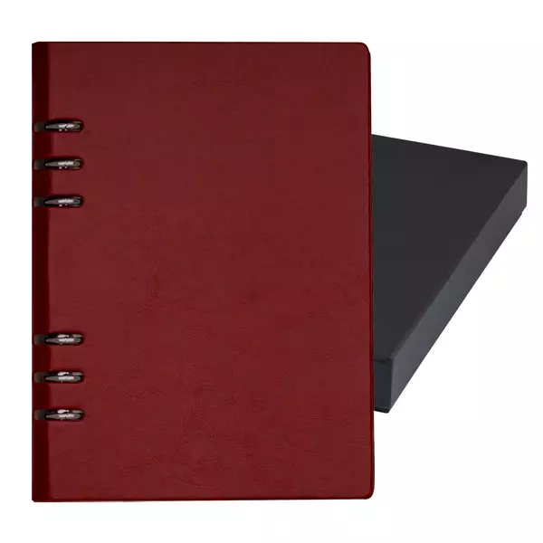 Leather organiser A5 in a box